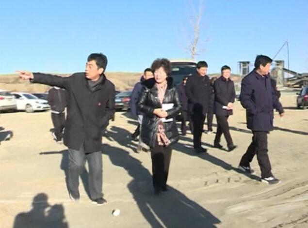 張月仙帶領(lǐng)市檢查組對我縣長河河道整治第一階段工作進(jìn)行驗收檢查.jpg