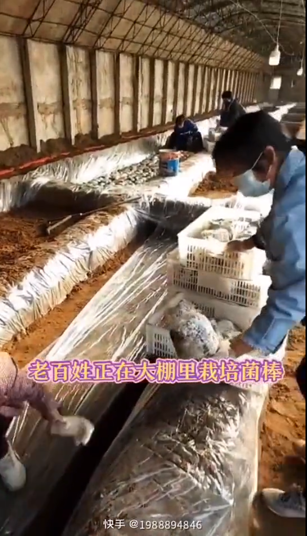 無標(biāo)題.png