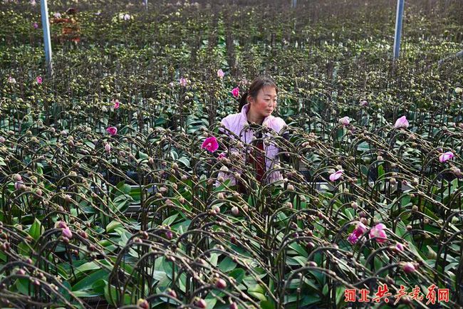 下載 (6).jpg