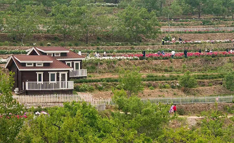 薛志軍 《花鄉(xiāng)果巷生態(tài)園》.jpg