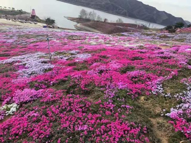 下載 (2).jpg