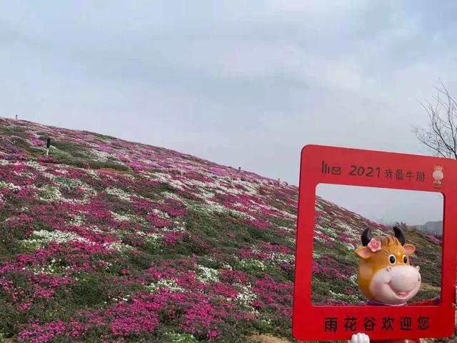 下載 (7).jpg