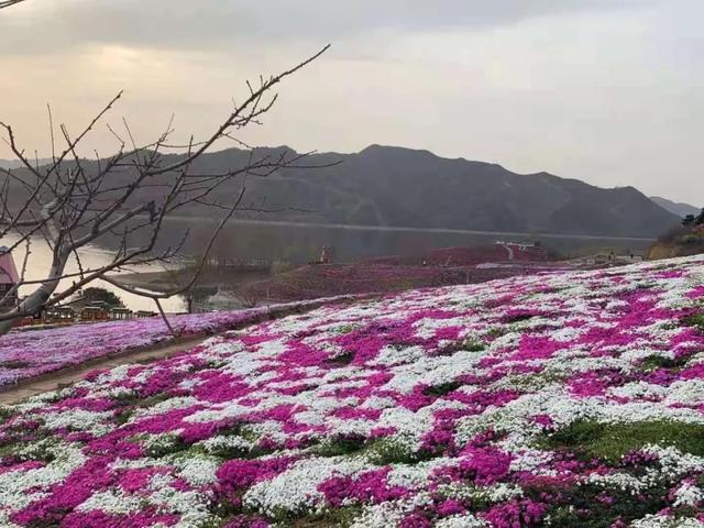 下載 (8).jpg