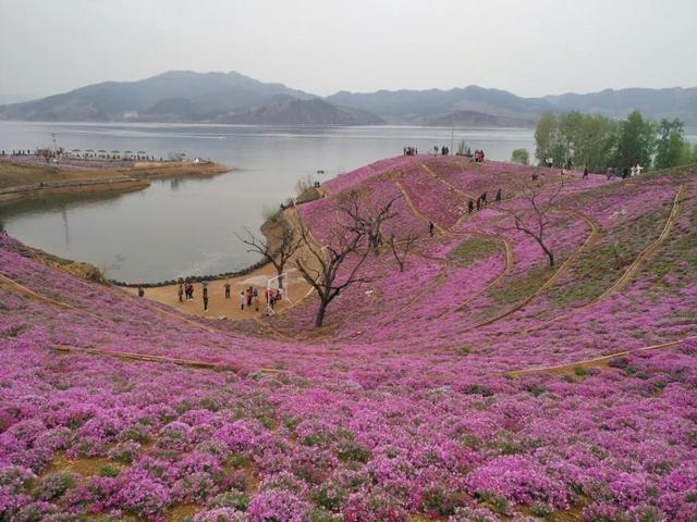 下載 (10).jpg