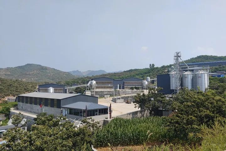 358.jpg