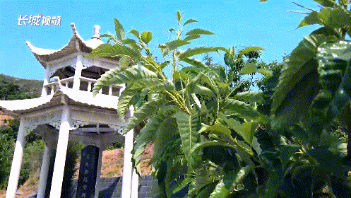 1670645448506060736.gif