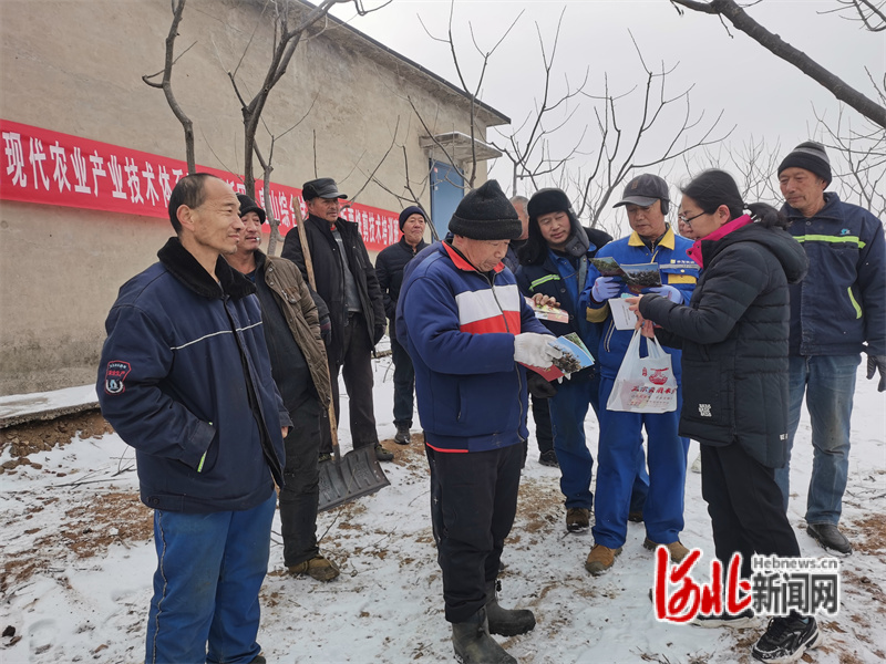 6ce782ce-b1fc-4ef6-8f53-000dc7dd9ab4.jpg