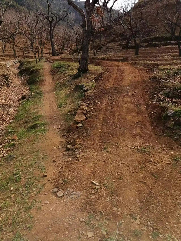 DM_20240411081400_002.jpg