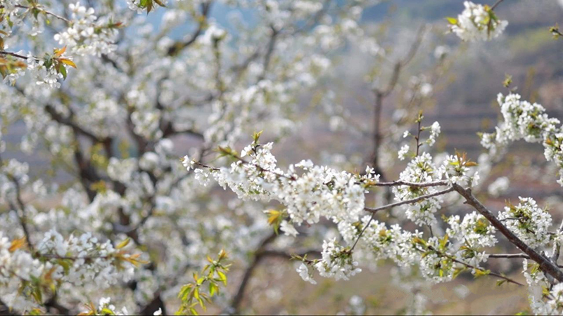 DM_20240412183752_001.jpg